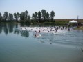 slika03